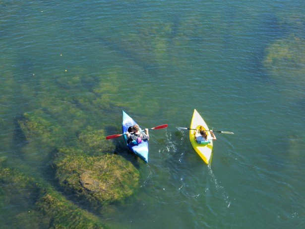 kayak northern california